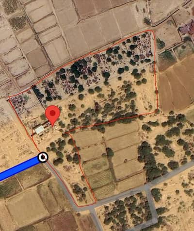 Agriculture Plot for Sale in Halah Alqamiriu - The lower peninsula of Wadi Sabha