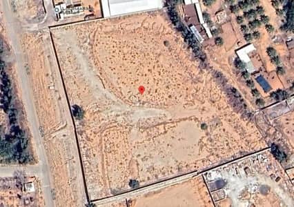 Agriculture Plot for Sale in Al Khudar, Buraydah Al Qassim Region - Agricultural land for sale in Al Khudr, Buraydah, Al Qassim region