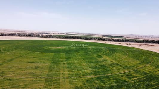 1 Bedroom Farm for Sale in Down Town, Bayir Bin Hirmas - Farm for Sale in Down Twon, Bayir Bin Hirmas