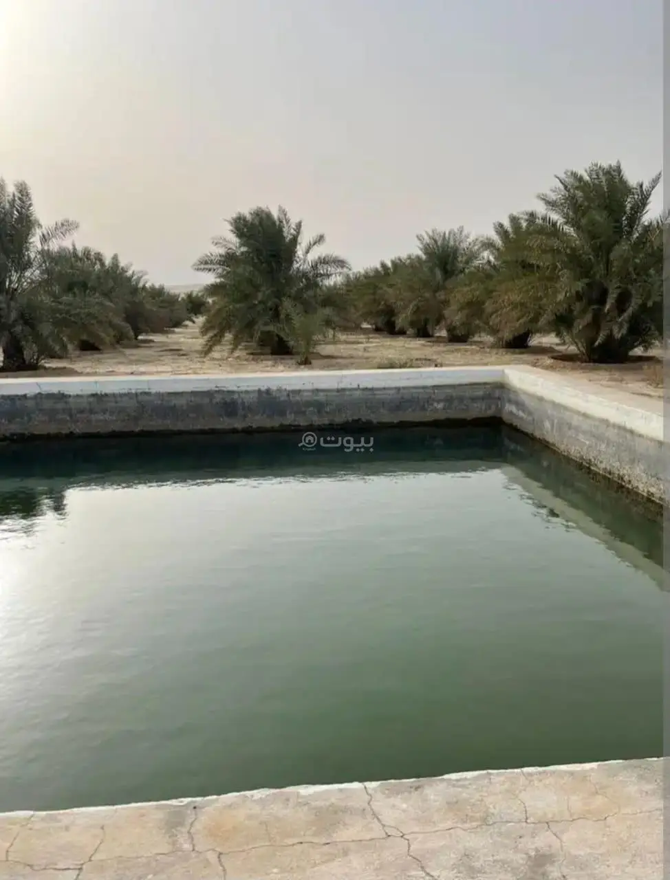 مزارع للبيع في الدرعية