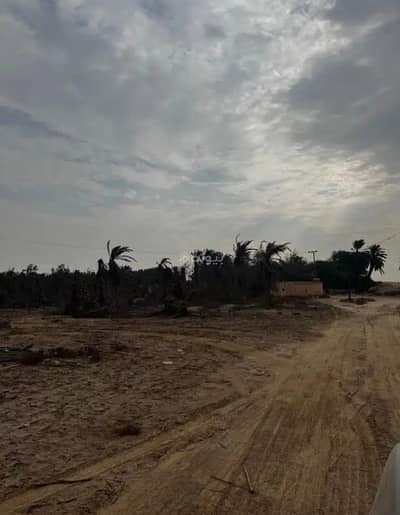 Farm for Sale in Al Hinnah Eastern Region - Farm For Sale in Al Hanah, Eastern Region