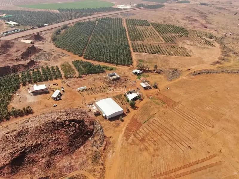 مزرعة للبيع في  غاف الجواء، عيون الجواء