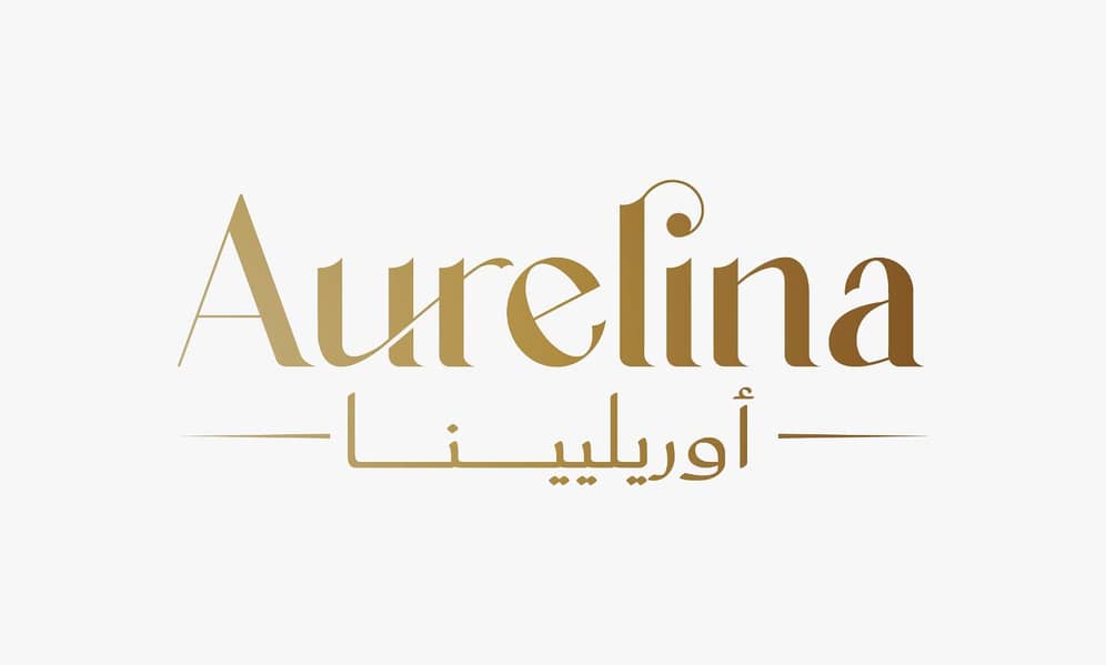 حسام حسنى