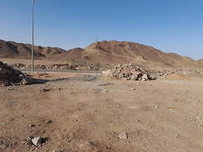 Residential Land for Sale in Tayba, Madina - Residential Land in Tayba 1350 SAR - 87618119