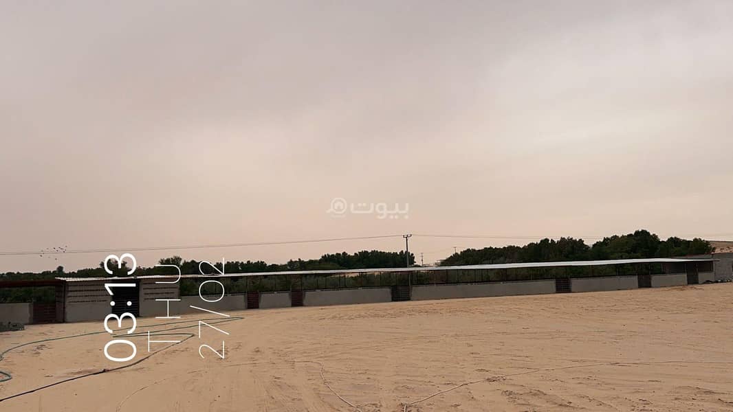 Farm for Sale in Al-Izdehar, Maliha - Eastern Region