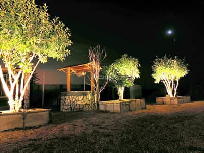 مزرعة 6 غرف نوم للايجار في حي المحمدية، المزاحمية منطقة الرياض - مزرعة للإيجار في حي المحمدية، المزاحمية منطقة الرياض مزرعة 6 غرف نوم للايجار في حي المحمدية، المزاحمية منطقة الرياض - مزرعة للإيجار في حي المحمدية، المزاحمية منطقة الرياض