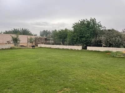مزرعة  للايجار في الخالدية، الدلم - مزرعة للإيجار في الخالدية، الدلم