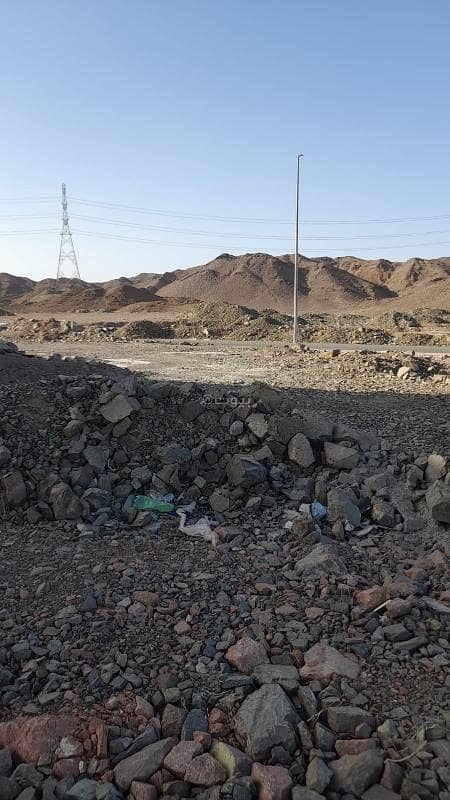 Residential Land in Tayba 798968 SAR - 87629153