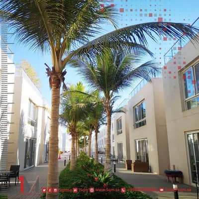 شقة 3 غرف نوم للايجار في شمال جدة، جدة - مجمع ديار ريزيدنس