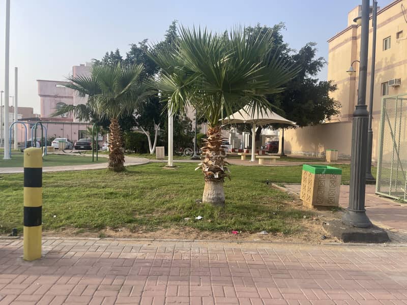 دور للإيجار حي المرجان دور للإيجار حي المرجان