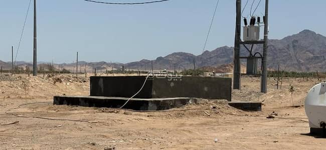 مزرعة 1 غرفة نوم للبيع في المليليح، المدينة المنورة - مزرعة للبيع في المليليح، المدينة