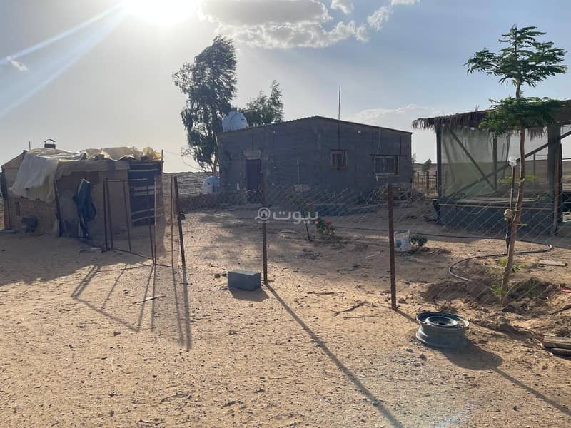 أرض للبيع في سلطانة، مدينة تبوك أرض للبيع في سلطانة، مدينة تبوك
