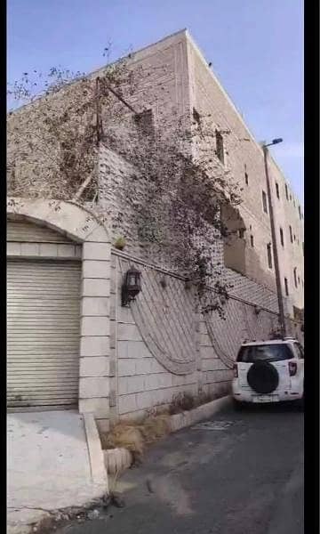 فیلا 11 غرف نوم للبيع في حي الحلقة الغربية، الطائف - فيلا للبيع في الحلقة الغربية، الطائف
