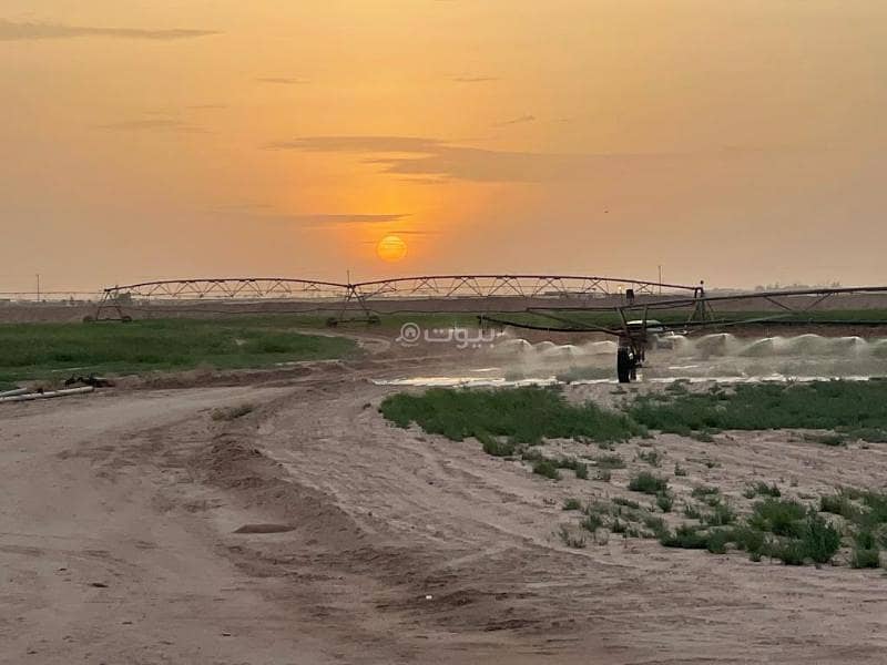 ارض زراعية-مزرعة - المذنب ارض زراعية-مزرعة - المذنب