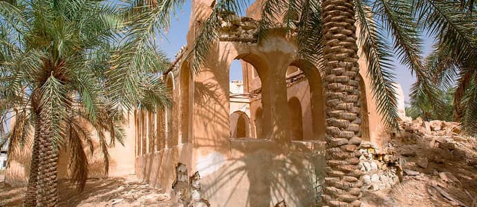 مزارع للبيع في الاحساء ..  استثمر في أرضك الخضراء
