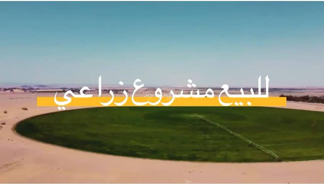 تبوك - بئر بن هرماس الطريق الدولي تبوك - بئر بن هرماس الطريق الدولي