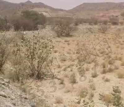 مزرعة  للبيع في قرن المنازل، الطائف - مزرعة بغرفة 0 للبيع في قرن المنازل، الطائف