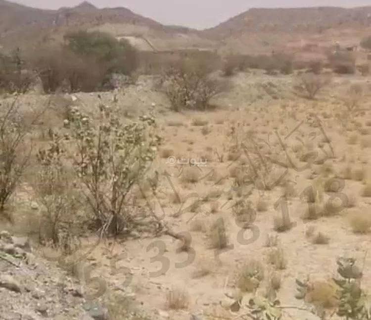 مزرعة للبيع في قرن المنازل، الطائف