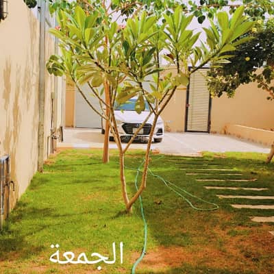 فلیٹ 2 غرفة نوم للايجار في الرياض - شاليهات الروضة بمسحطات خضراء
