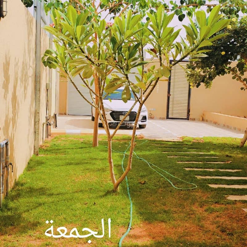 شاليهات الروضة بمسحطات خضراء