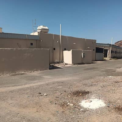 دور 6 غرف نوم للبيع في وعيرة، المدينة المنورة - للبيع بيت شعبي على شارعينحي وعيرة