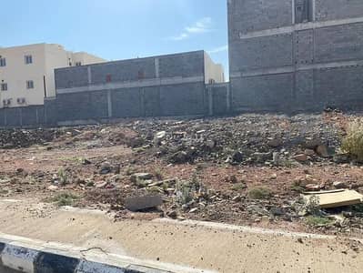 ارض سكنية  للبيع في طيبة، المدينة المنورة - أرض للبيع في طيبة، المدينة المنورة