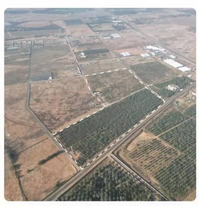 Agriculture Plot for Sale in Alshiyhiuh Al Qassim Region - Agriculture Plot for sale in  Alshiyhiuh Al Qassim Region