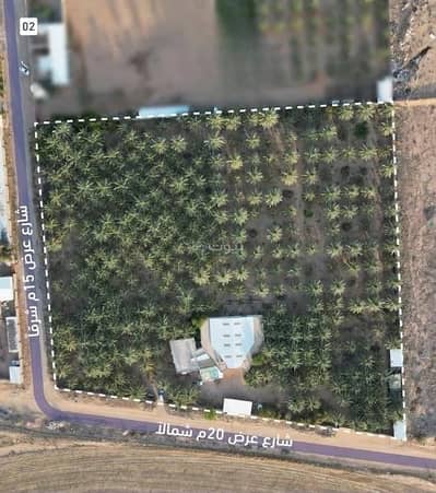 Agriculture Plot for Sale in Alshiyhiuh Al Qassim Region - Agriculture Plot For Sale Alshiyhiuh Al Qassim Region