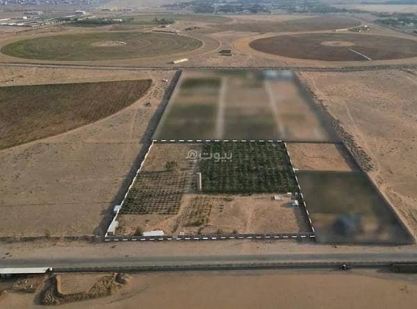 استراحة للبيع في الربوة، البكيرية استراحة للبيع في الربوة، البكيرية