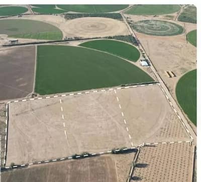 Agriculture Plot for Sale in Aldilfaeuh - Agriculture Plot For Sale in Aldilfaeuh