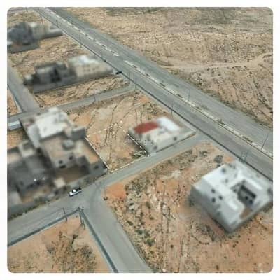 ارض سكنية  للبيع في الربوة، البكيرية - أرض للبيع في الربوة، البكيرية