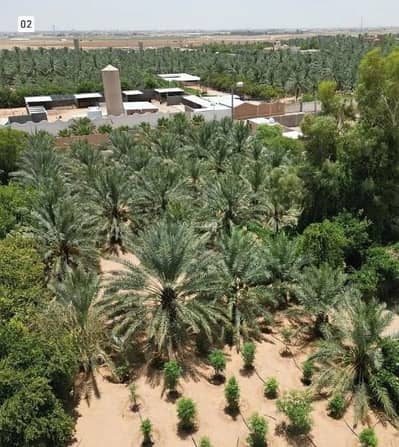 3 Bedroom Rest House for Sale in Ar Rabwah, Al Bukayriyah - Isteraha For Sale in Ar Rabwah, Al Bukayriyah