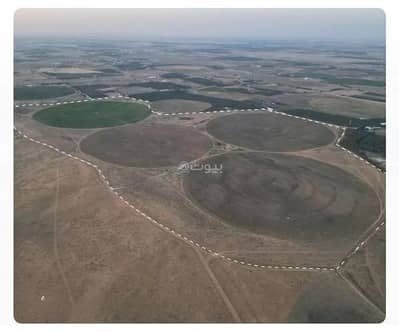 Agriculture Plot for Sale in Al Basatin, Al Bukayriyah - Agriculture Plot For Sale in Al Basatin, Al Bukayriyah