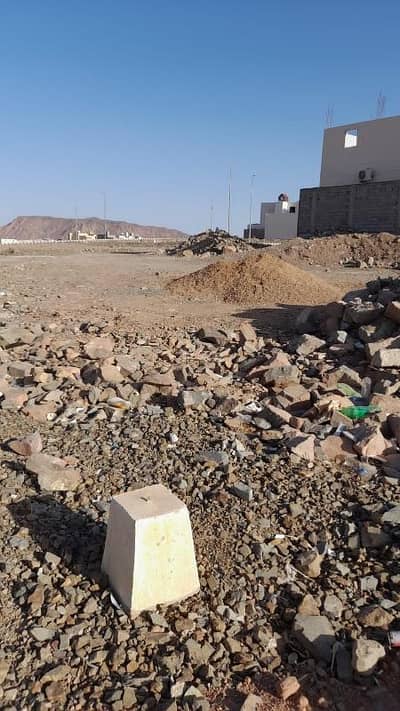 ارض  للبيع في طيبة، المدينة المنورة - ارض بالمدينة المنورة