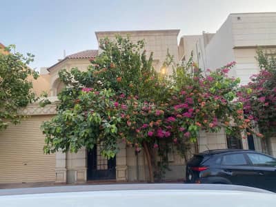شقة 1 غرفة نوم للايجار في شمال الرياض، الرياض - قبو فيلا في حي النفل