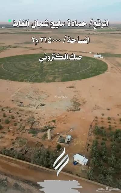 مزرعة 4 غرف نوم للبيع في مزارع حمادة مليح الشماليه، مليح - مزرعه للبيع في حمادة مليح شمال الغاط