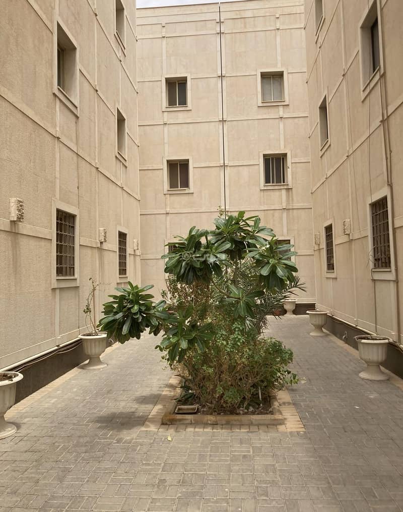 للايجار شقه ٤ غرف في العقيق