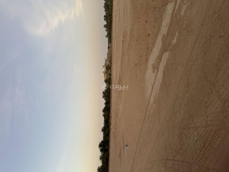 Farm for rent in Al-Salamiya