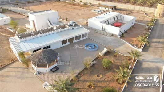 مزرعة 11 غرف نوم للبيع في دقله - مزرعة للبيع في دقيلا مزرعة 11 غرف نوم للبيع في دقله - مزرعة للبيع في دقيلا