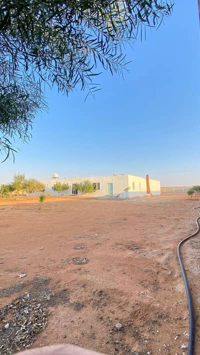 Farm for Sale in Al Nasseriah Village - Riyadh Region - Farm For Sale in Al Nasseriah Village - Riyadh Region