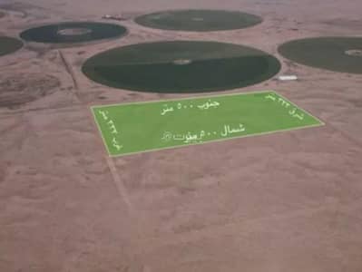 Agriculture Plot for Sale in Al Shinan - Agriculture Plot For Sale in Al Shinan