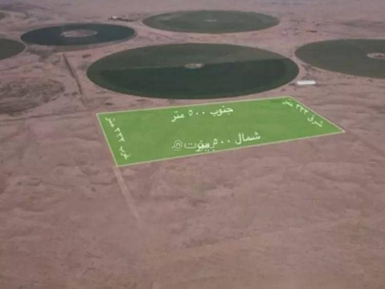 Agriculture Plot For Sale in Al Shinan