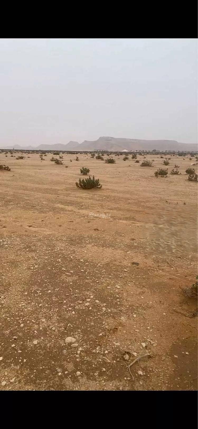 أرض للبيع في ثادق أرض للبيع في ثادق