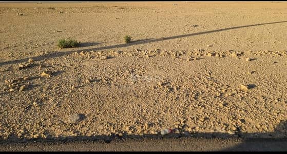 ارض  للايجار في جنوب الرياض، الرياض - الرياض - عريض