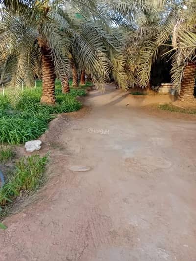 مزرعة  للبيع في الضبيعة، الدلم - مزرعه للبيع