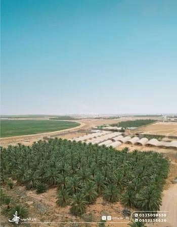 استراحة 1 غرفة نوم للبيع في امهات الذيابه - بيت استراحة للبيع في أمهات الذئاب
