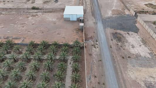 3 Bedroom Farm for Sale in Daqalah - Farm with 3 bedrooms for sale in Daqla