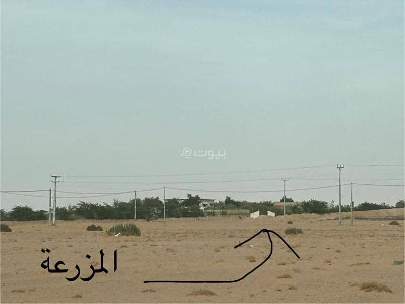 أرض زراعية مميزة للبيع في الجله – بمساحة 40,000 م² أرض زراعية مميزة للبيع في الجله – بمساحة 40,000 م²