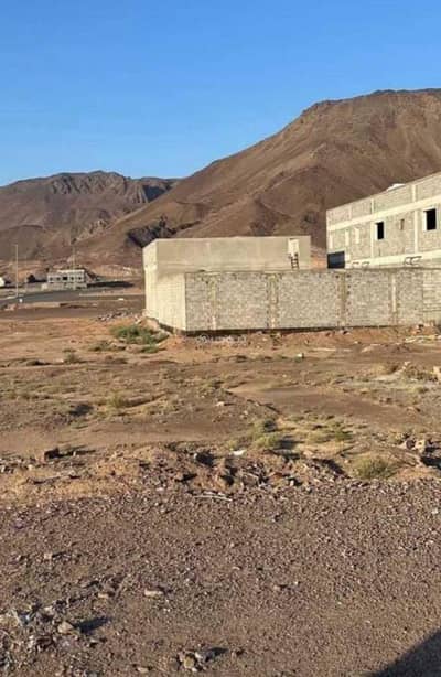 Land for Sale in Al Sakb, Madina - Commercial land for sale in al sakb, madina