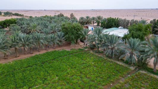 مزرعة 1 غرفة نوم للبيع في تمير 1 - مزرعة للبيع في تمير